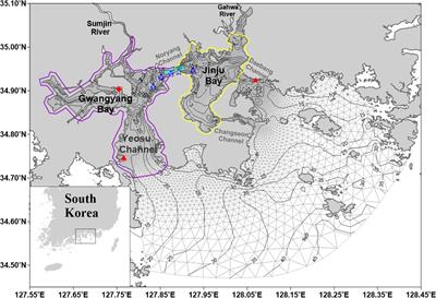 Impact of dynamic factors on the exchange flow between two neighboring bays with contrasting topography during summer: A numerical study